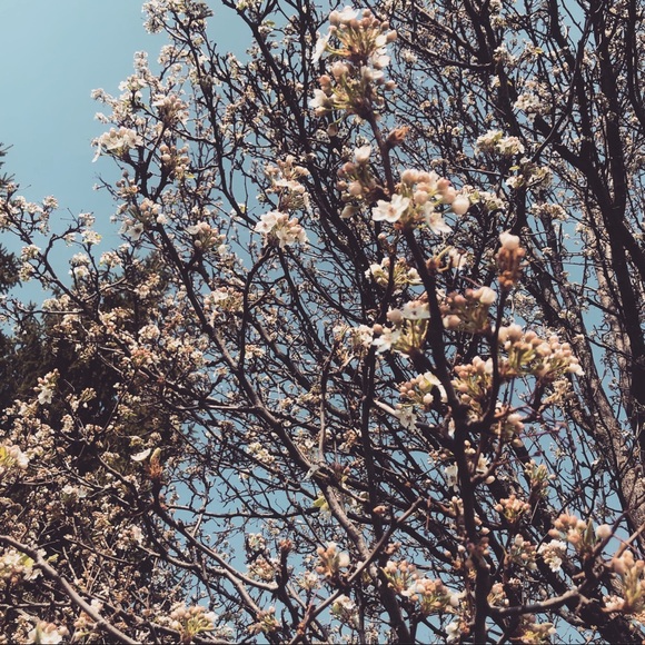 Meet your Posher, Stacy - Picture 1 of 1